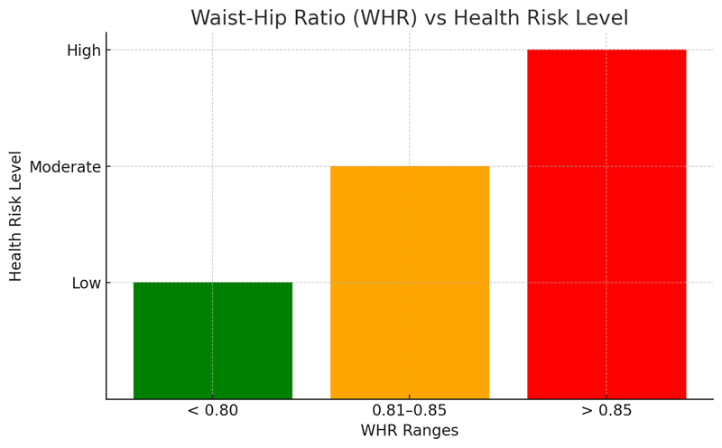 Waist Hip Ratio vs Health Risk Levels Chart